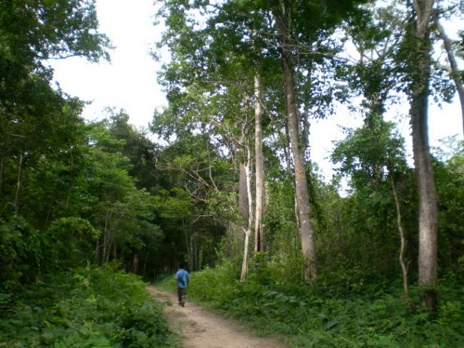 SANY7126.jpg